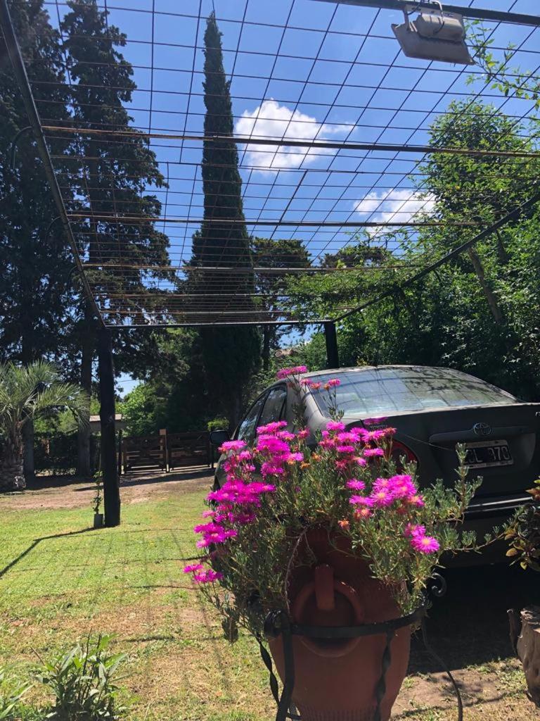 Ezeiza Quinta Cedro Azul 10 Min Del Aeropuerto别墅 外观 照片